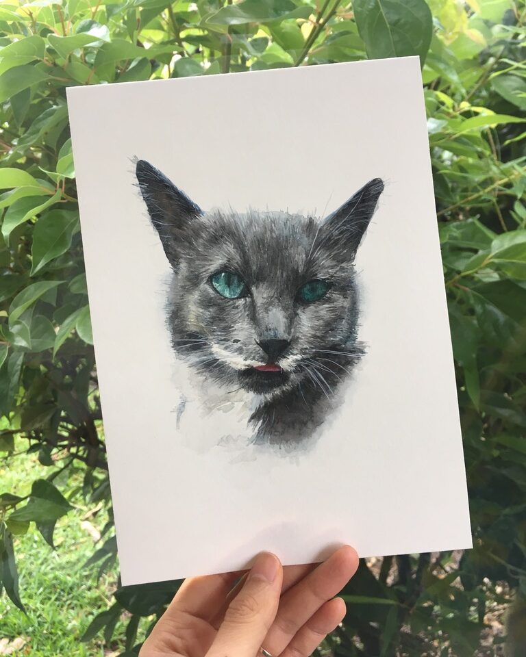 Jupiter cat